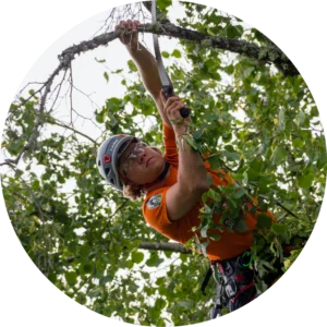 prevenir-cortes-de-corriente